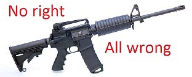 cropped-assult-rifle-small.jpg